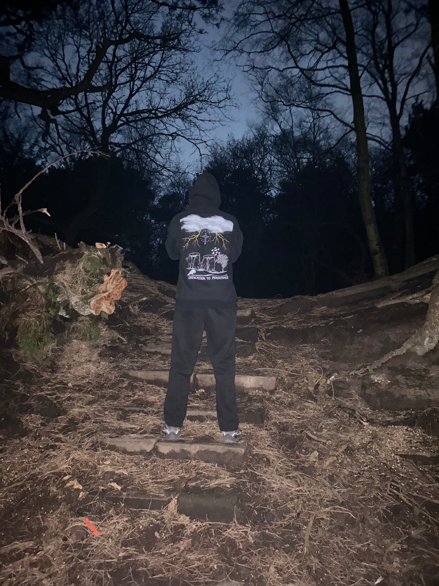 'Dedication To Persistence' Hoodie
